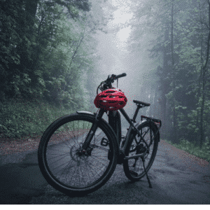 bicicleta de trekking en una carretera junto a un bosque