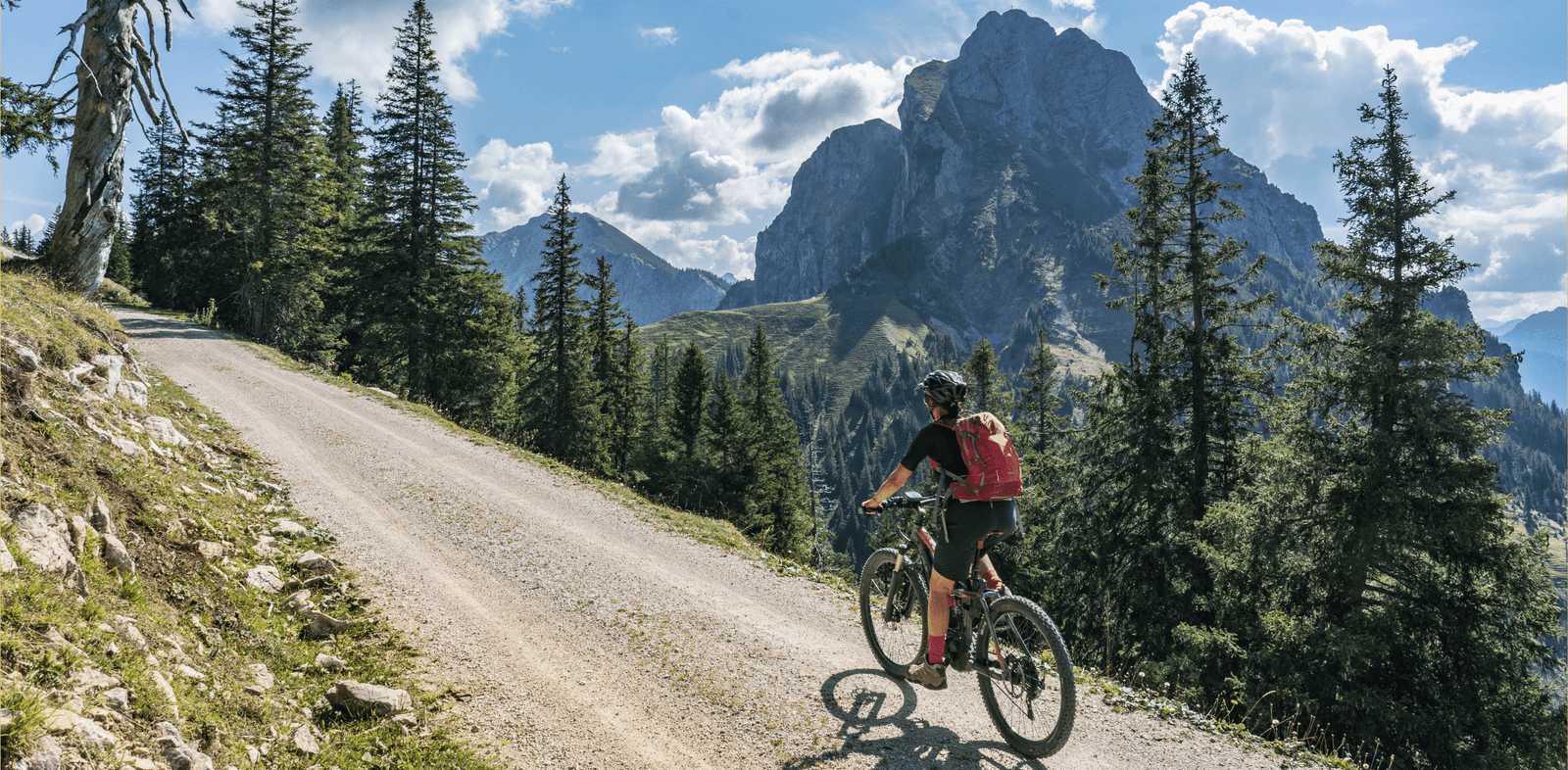 Cuál es la mejor bicicleta eléctrica de montaña