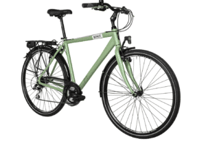 Bicicleta George Verde