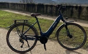 Bicicleta eléctrica urbana Wayscral Everyway E450