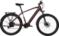 Bicyklet Raymond: bicicleta eléctrica urbana Shimano Acera 9S 504 Wh